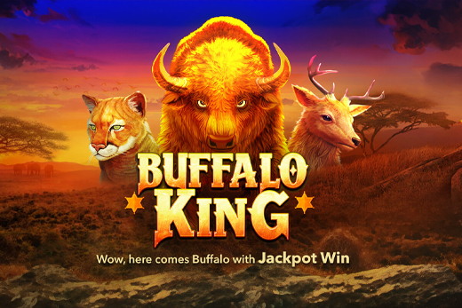 NextSpin buffalo_king